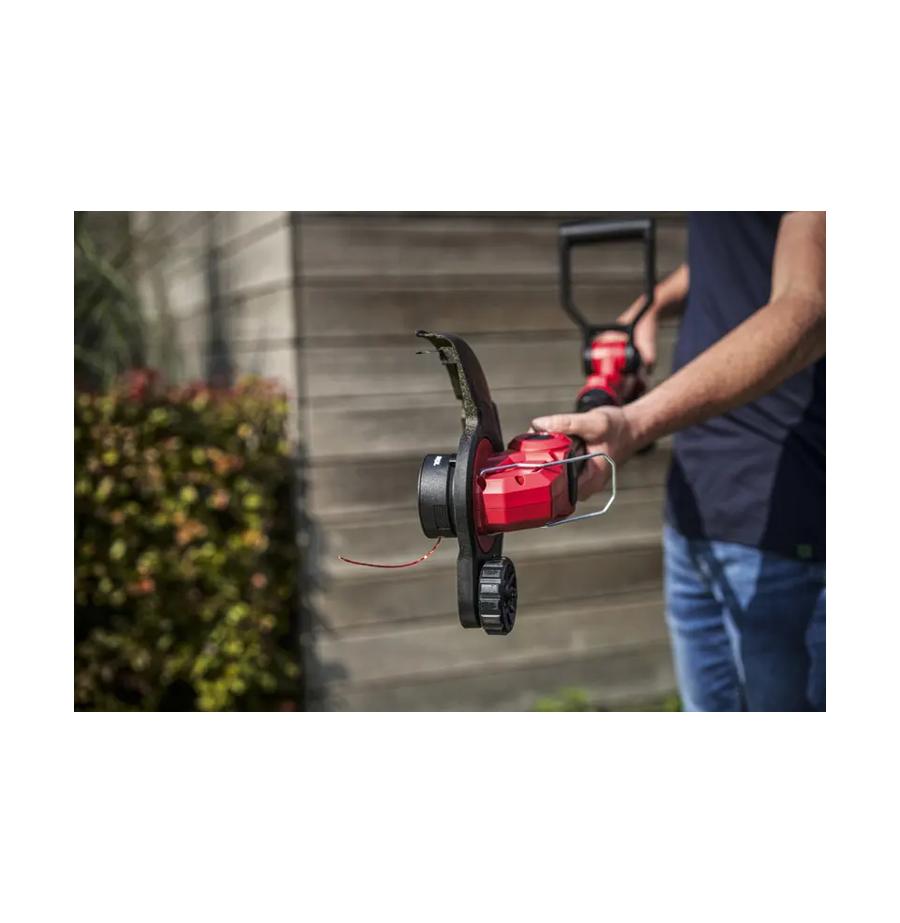 resized_Cat_497160_5452_