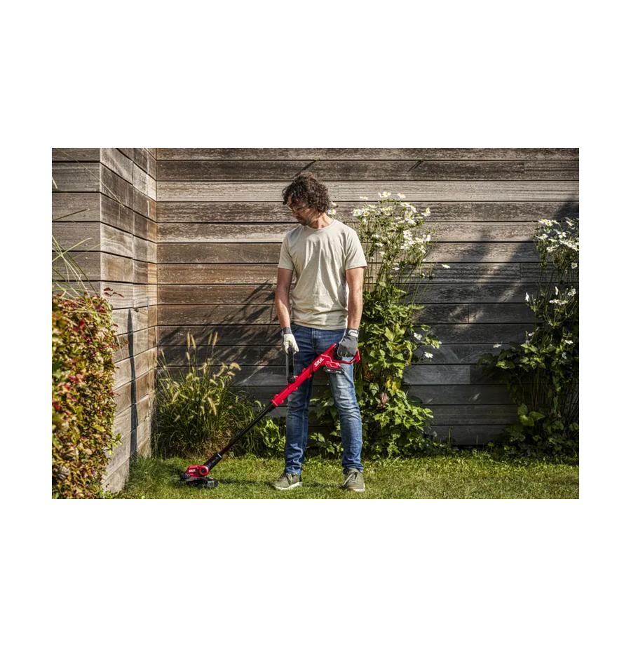 resized_Cat_497160_5453_