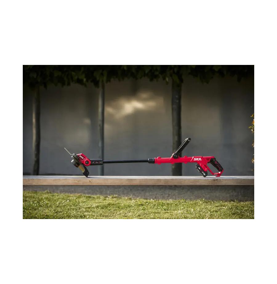 resized_Cat_497160_5454_