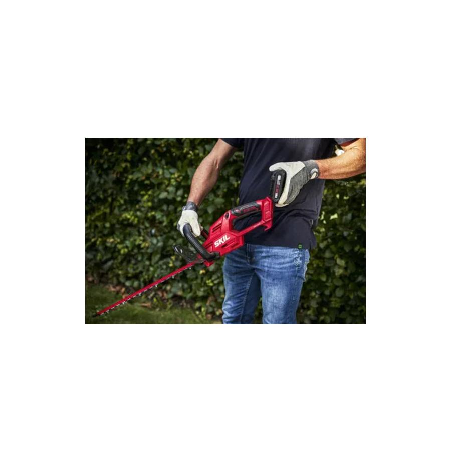 resized_Cat_497160_4852_