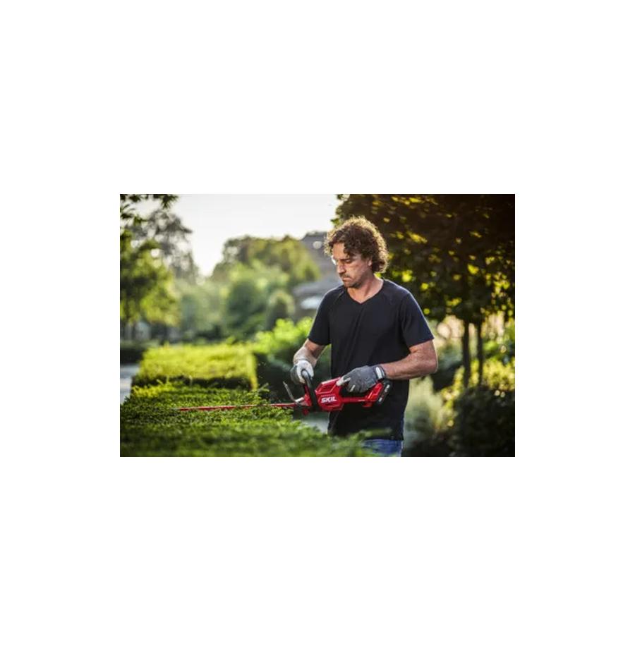 resized_Cat_497160_4853_