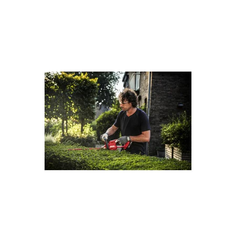 resized_Cat_497160_4854_