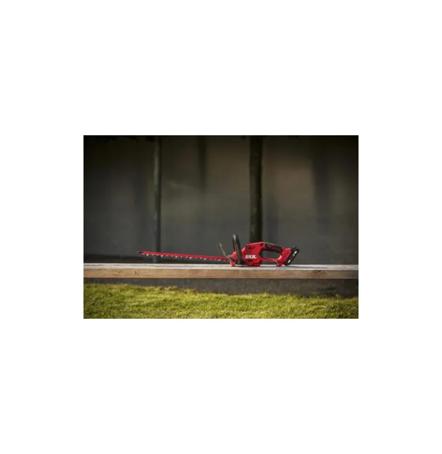 resized_Cat_497160_4857_