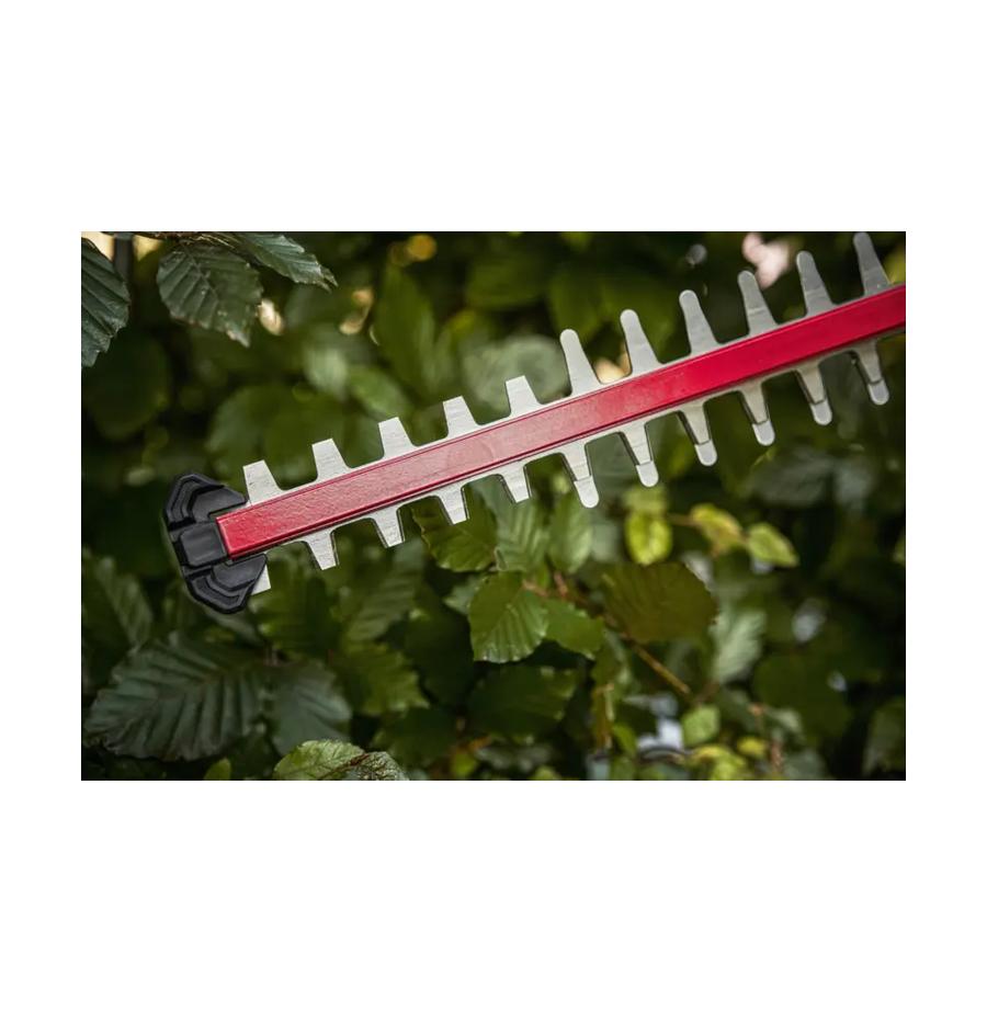 resized_Cat_497160_5417_