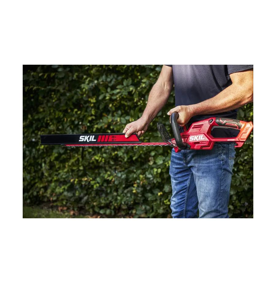 resized_Cat_497160_5418_