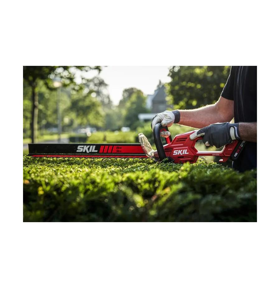 resized_Cat_497160_5419_