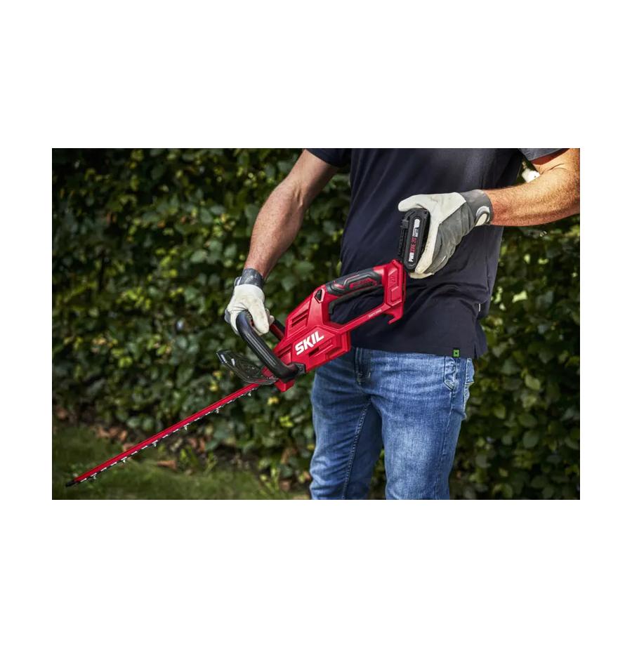 resized_Cat_497160_5420_