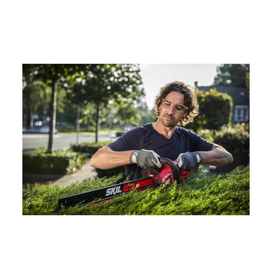 resized_Cat_497160_5421_