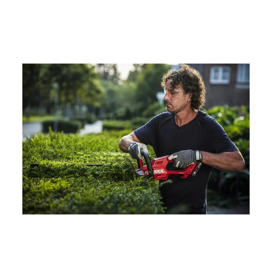 resized_Cat_497160_5423_