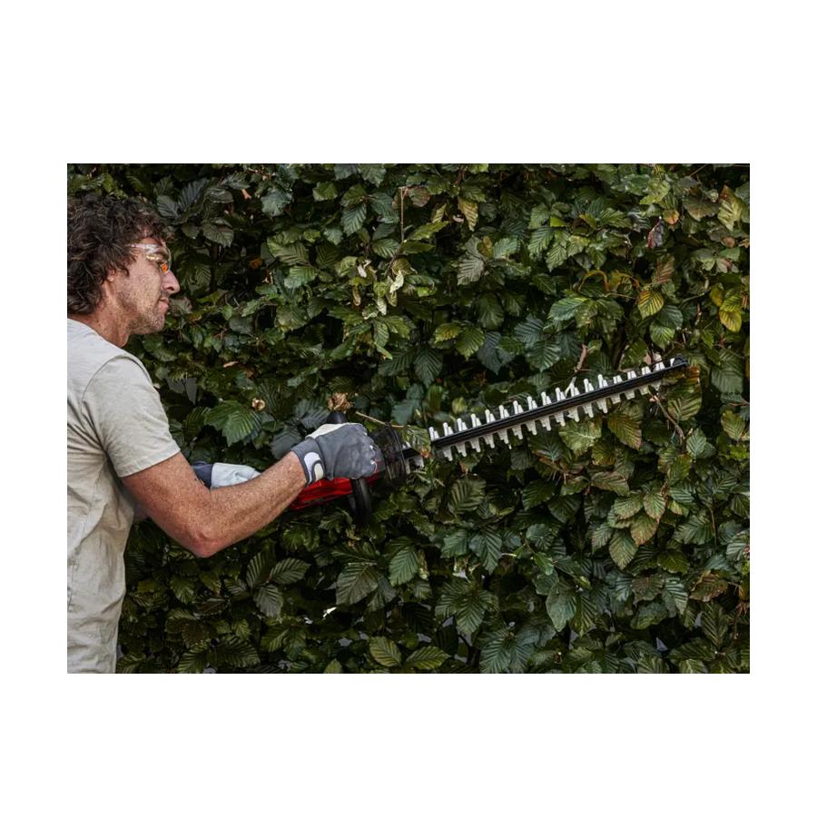 resized_Cat_497160_5424_