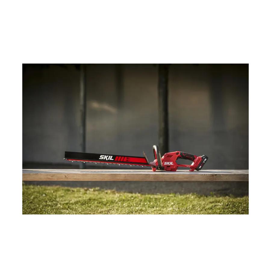 resized_Cat_497160_5425_