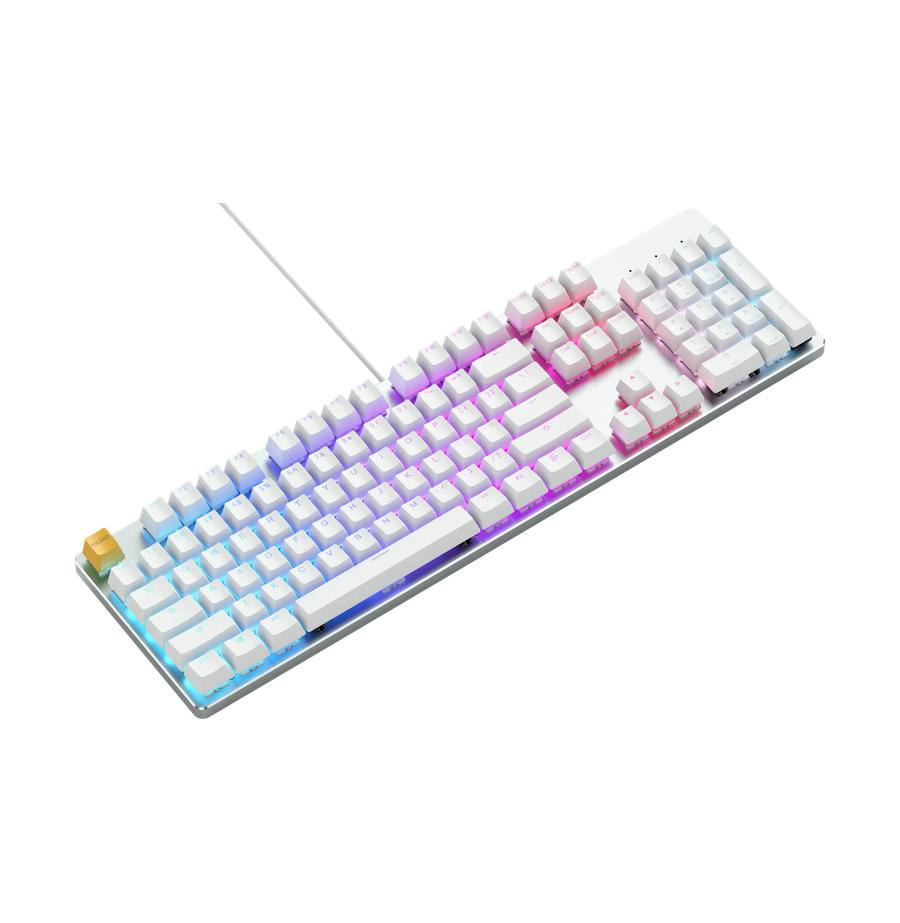 resized_1_