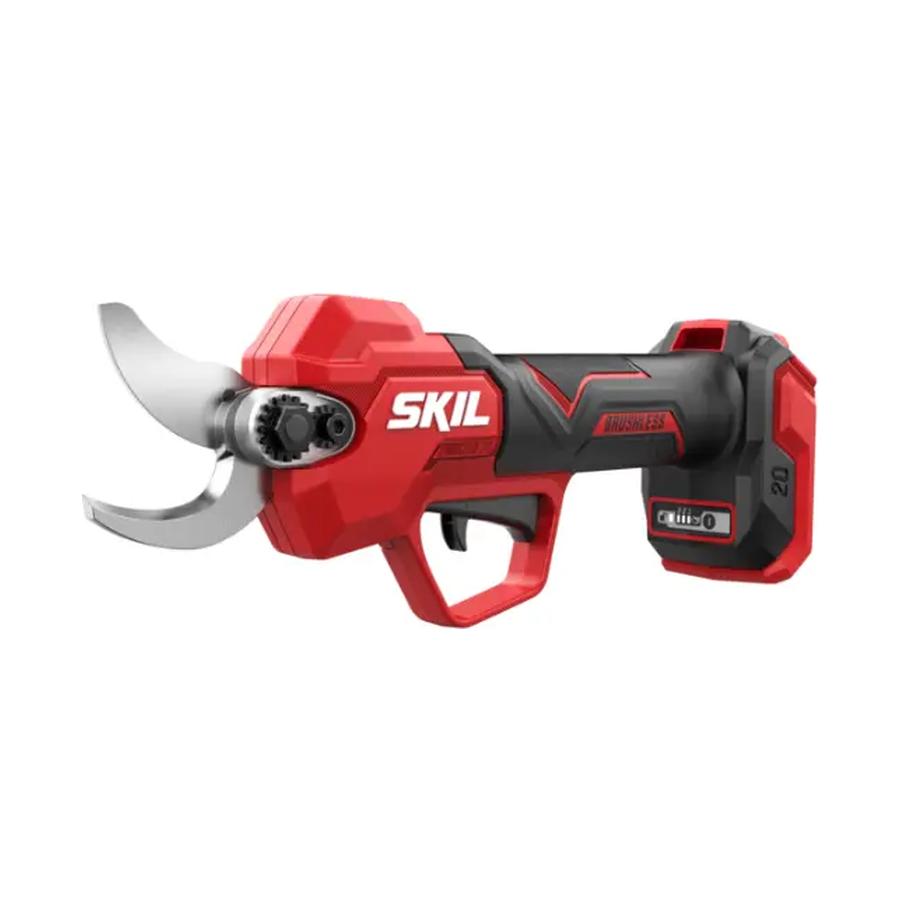 resized_Cat_497160_5467_