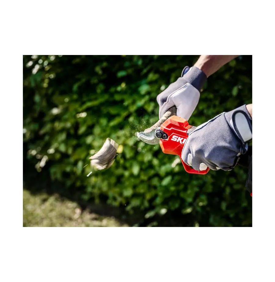 resized_Cat_497160_5474_