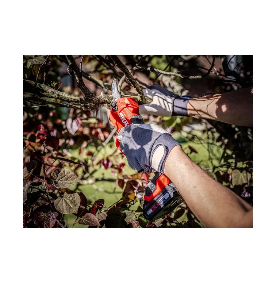 resized_Cat_497160_5475_