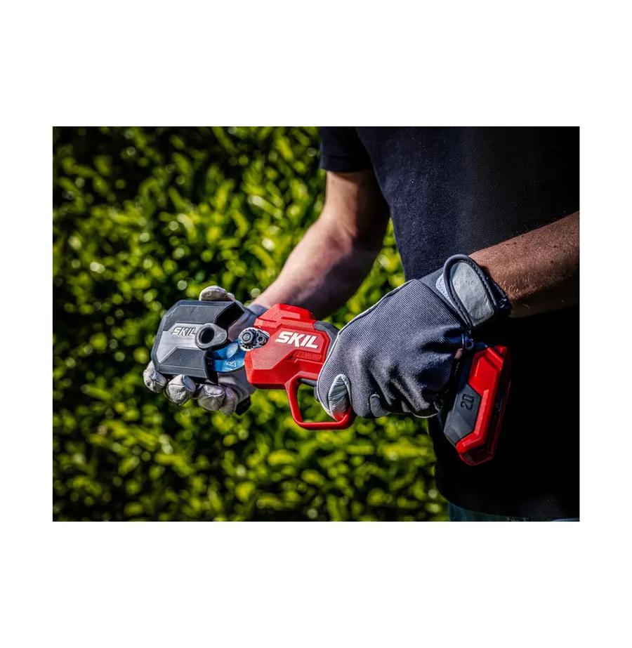 resized_Cat_497160_5476_