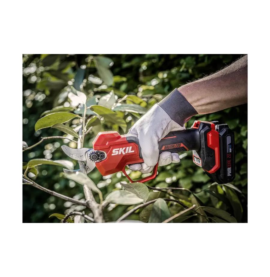 resized_Cat_497160_5468_