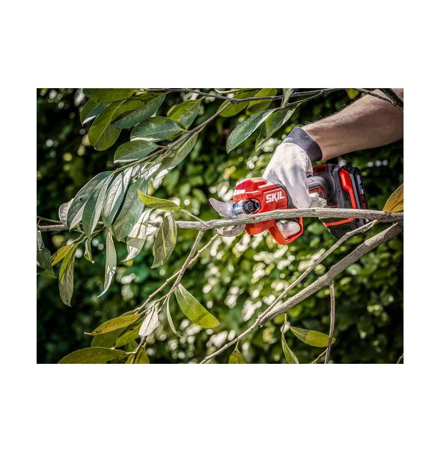 resized_Cat_497160_5471_