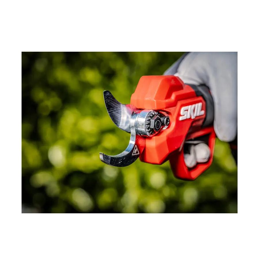 resized_Cat_497160_5472_