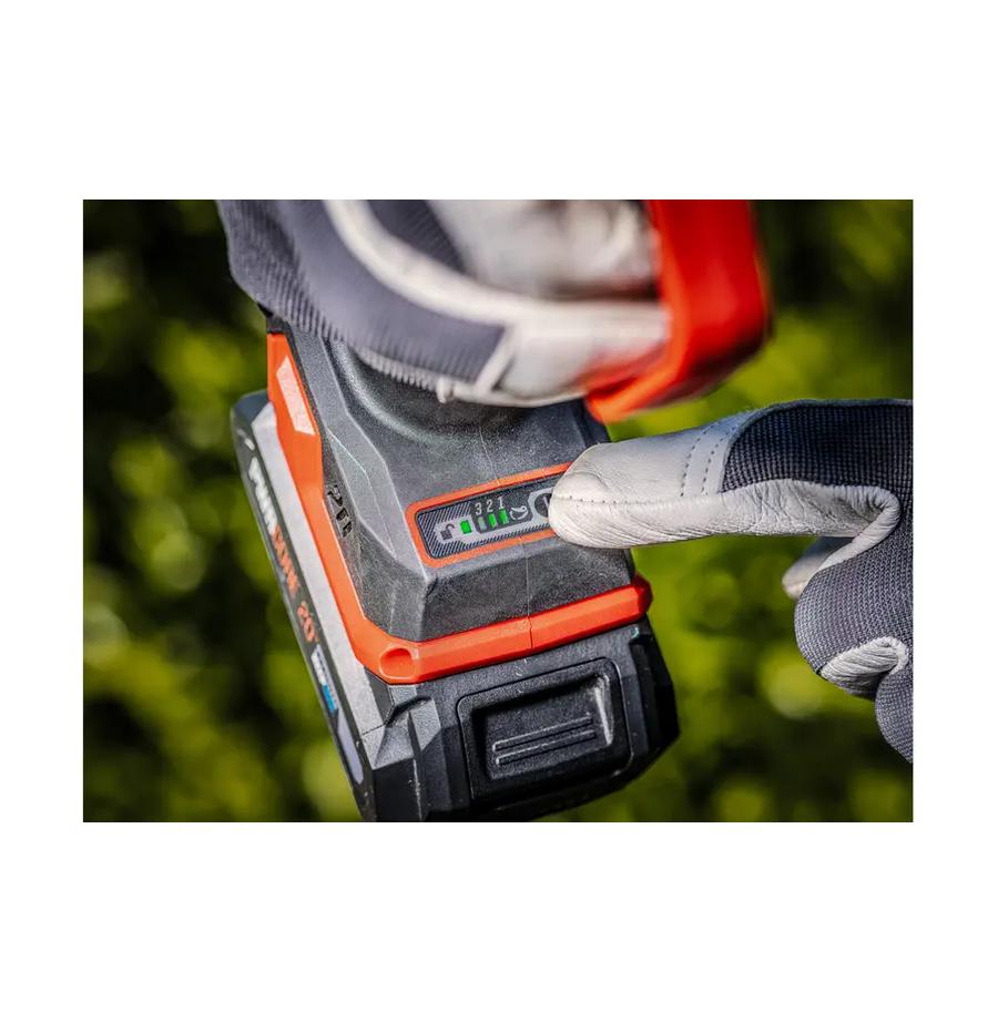 resized_Cat_497160_5473_