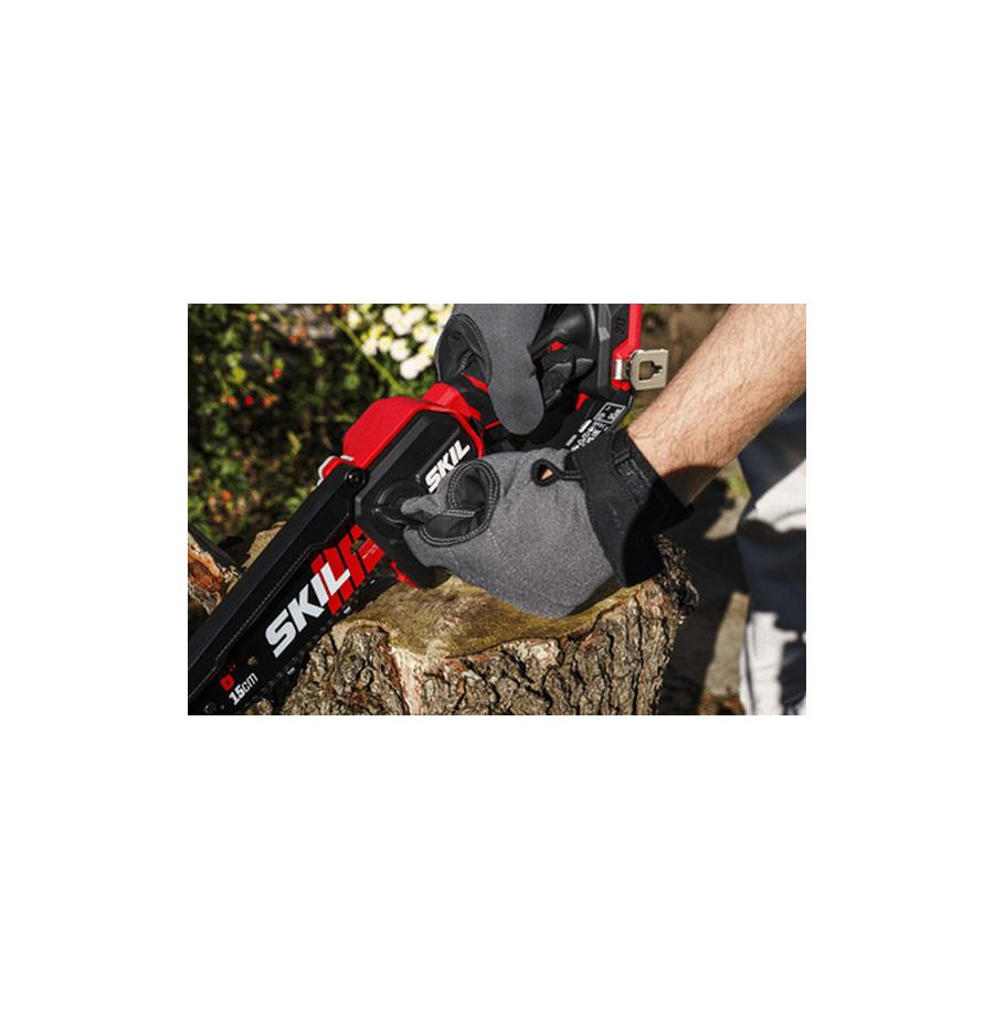 resized_Cat_497160_5624_