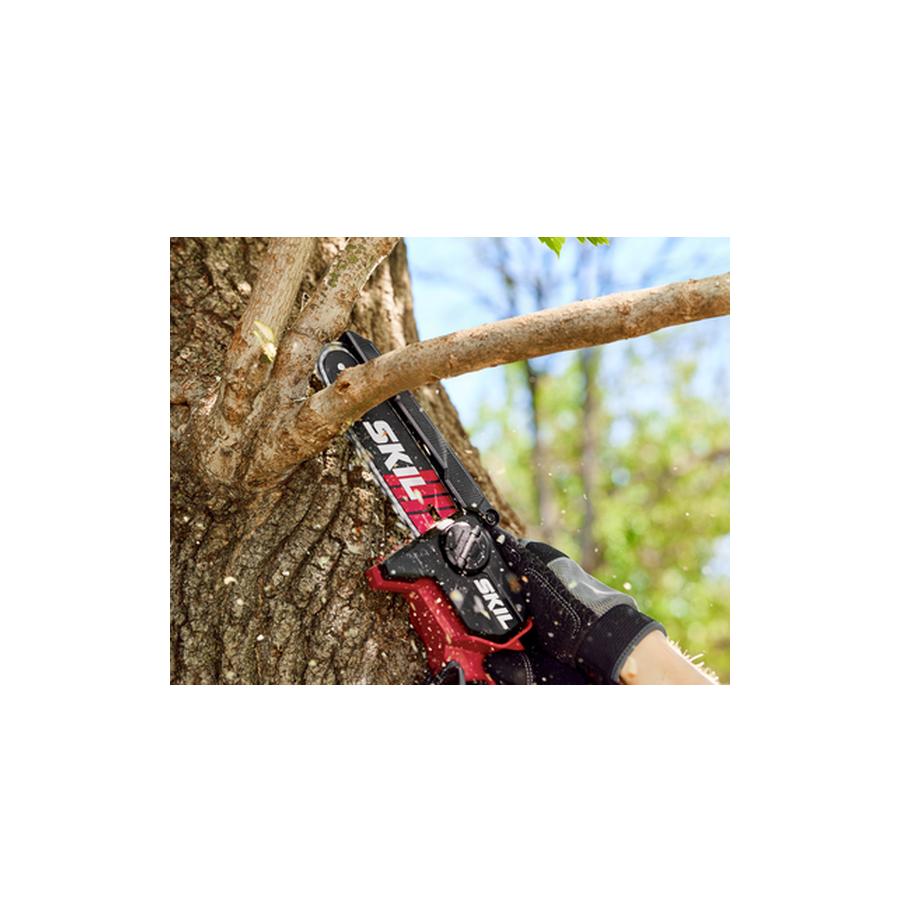 resized_Cat_497160_5627_