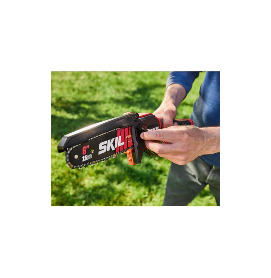 resized_Cat_497160_5628_