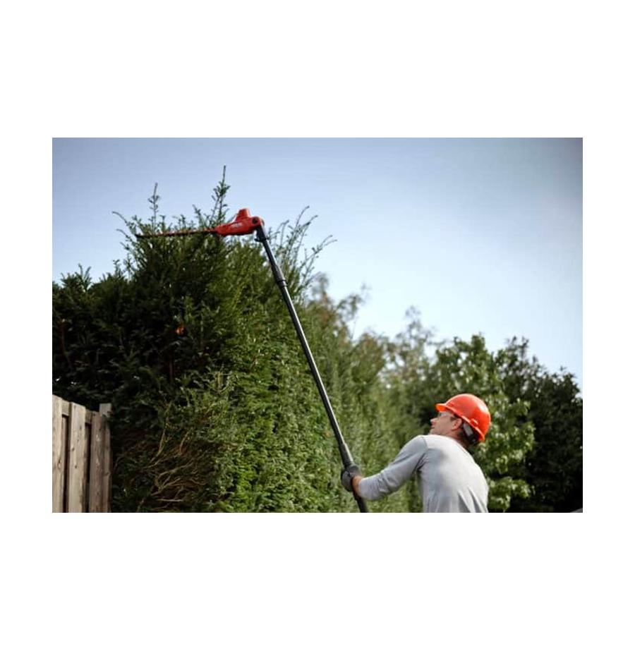 resized_Cat_497160_2500_