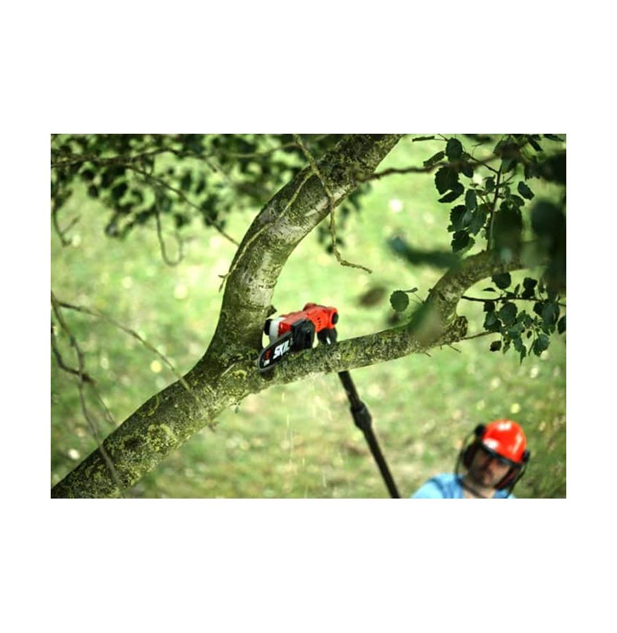 resized_Cat_497160_2506_