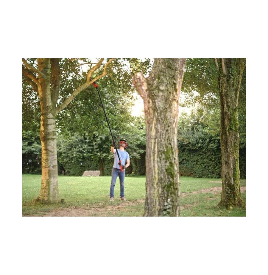 resized_Cat_497160_2507_