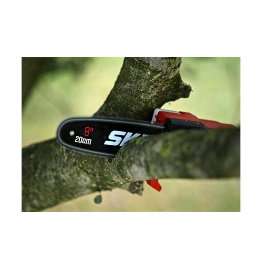 resized_Cat_497160_2508_