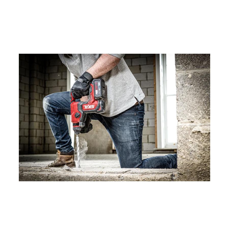 resized_Cat_497160_4904_