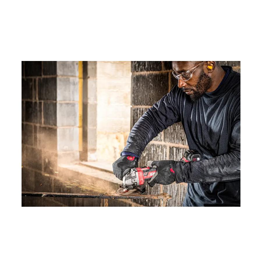 resized_Cat_497160_5619_