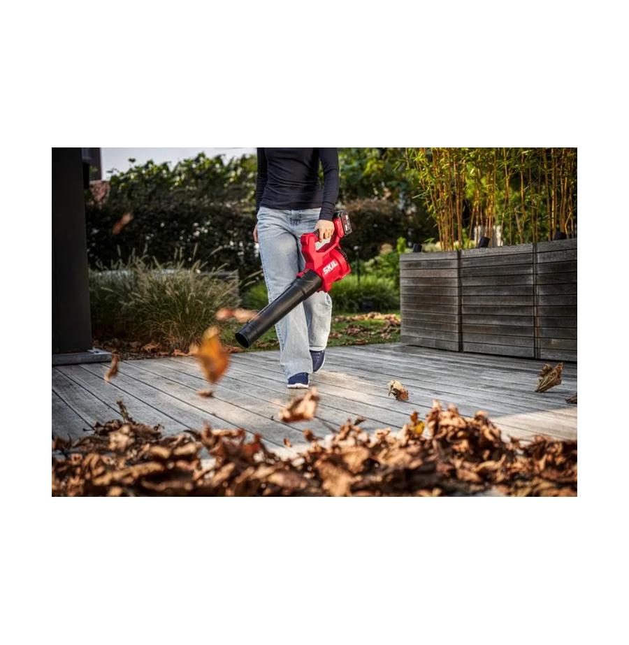 resized_Cat_497160_4816_