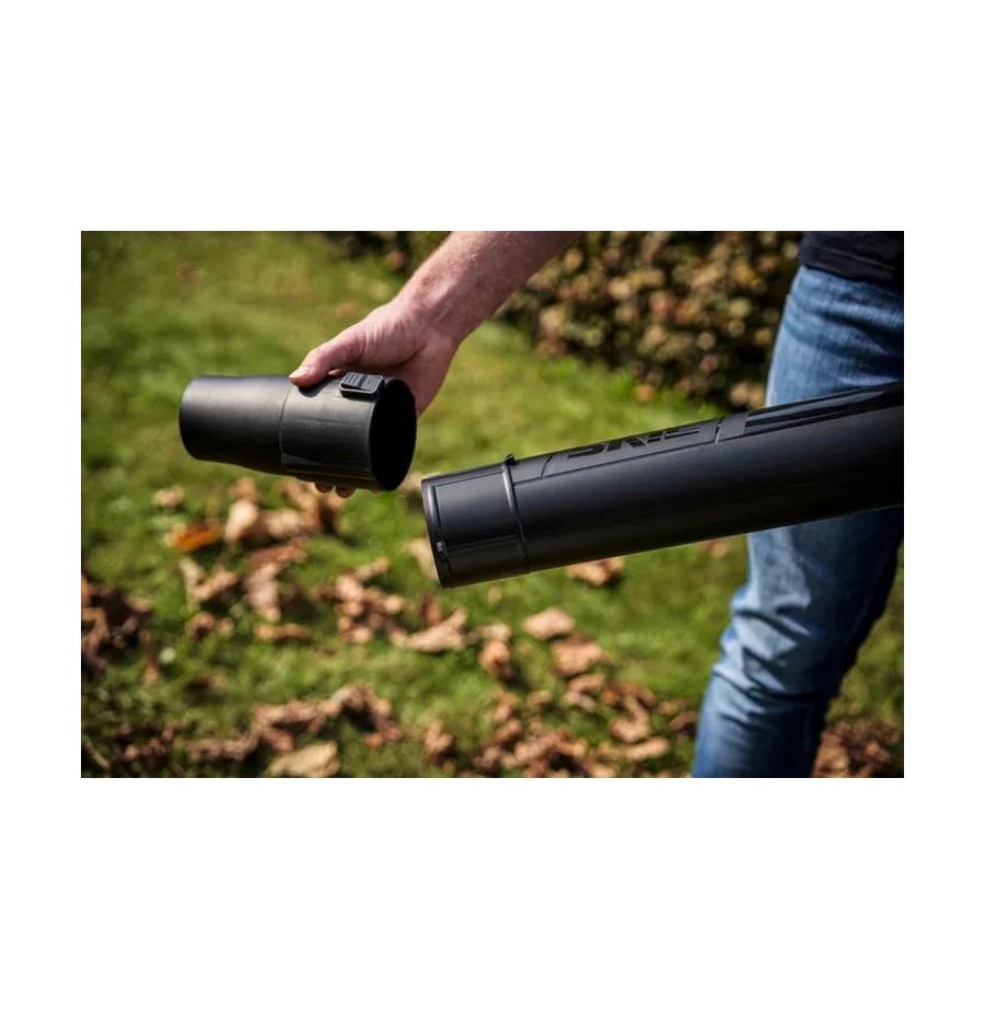 resized_Cat_497160_4819_