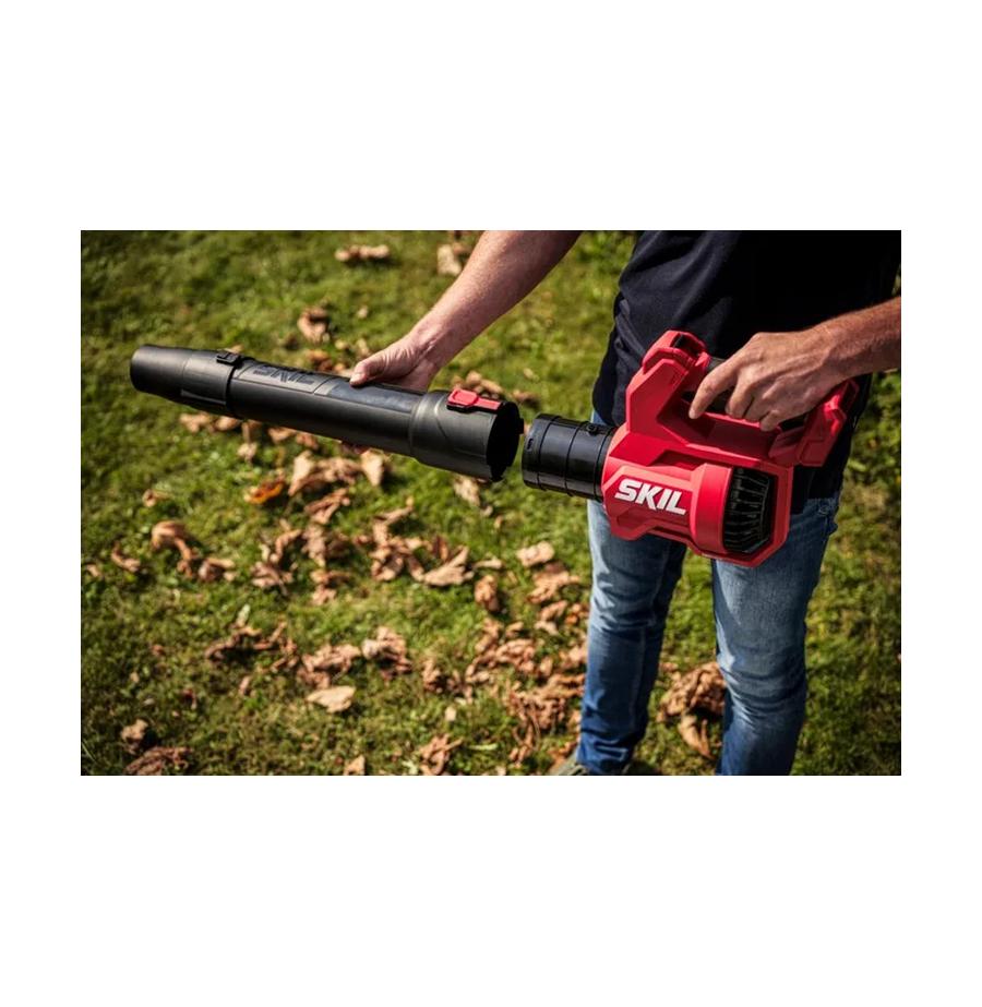 resized_Cat_497160_4820_