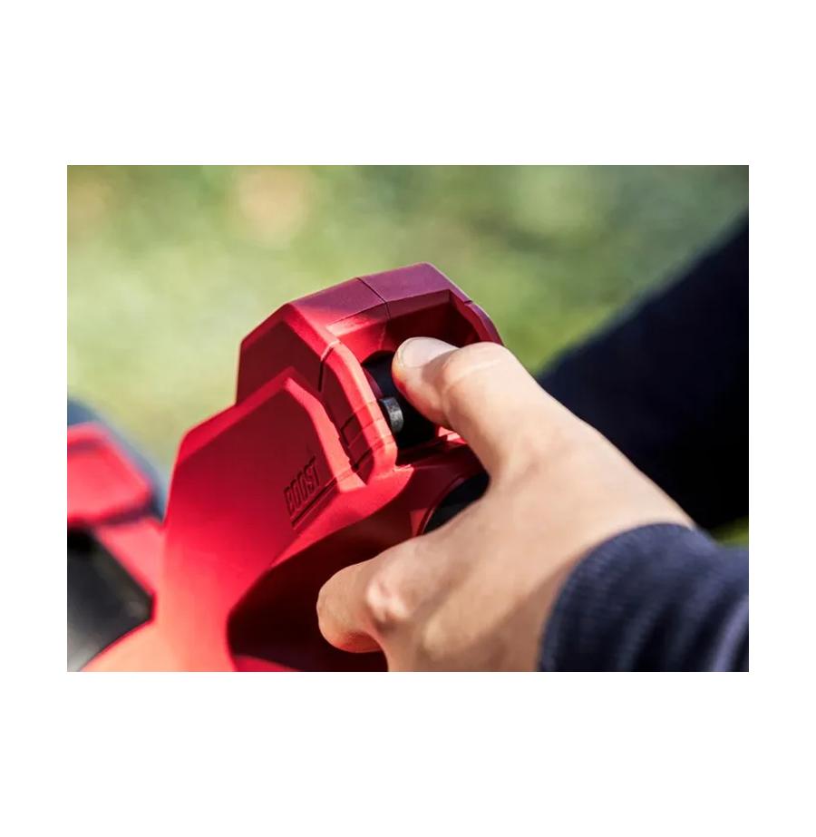 resized_Cat_497160_4821_