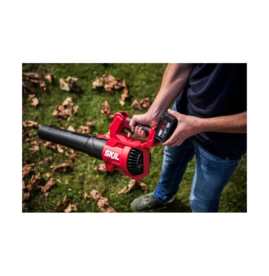 resized_Cat_497160_4822_