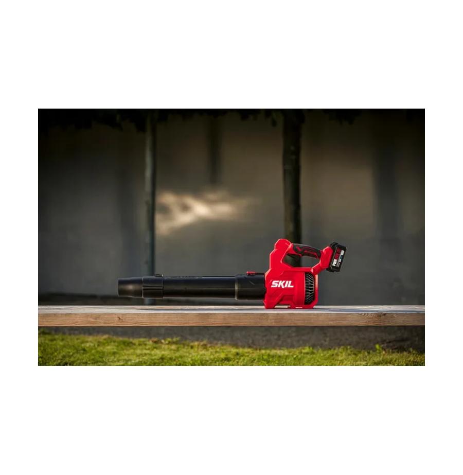 resized_Cat_497160_4823_