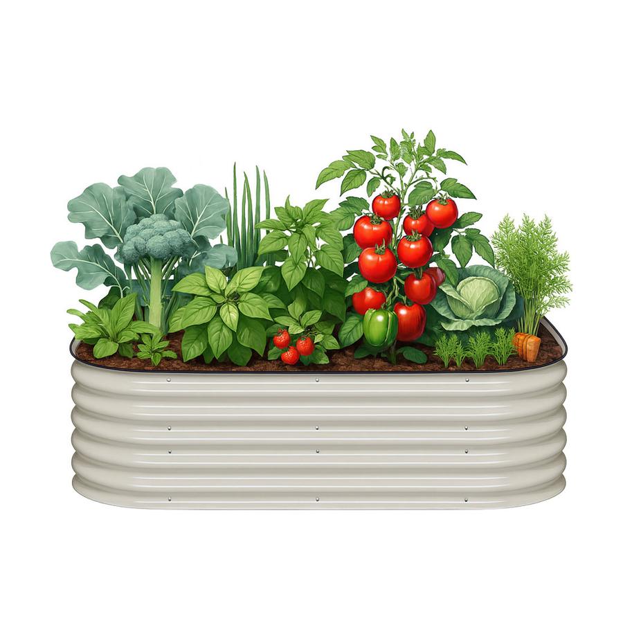 resized_4N1-17-CREAM-1000G_