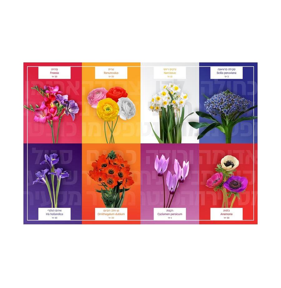 resized_כעחבעיל_