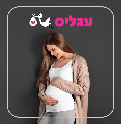 הייטקזון יריד מרץ26 תמונת עמוד מוצר - עגליס