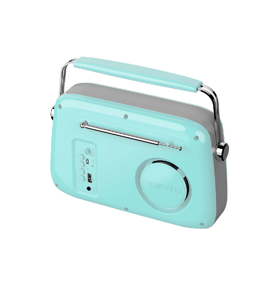 תבנית תמונת מוצר(16)