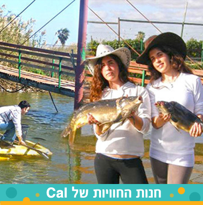 416x426_fishing