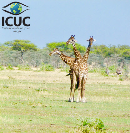 ICUC_416