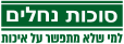 עיצוב ללא שם
