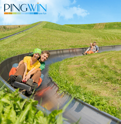 pingwin-416