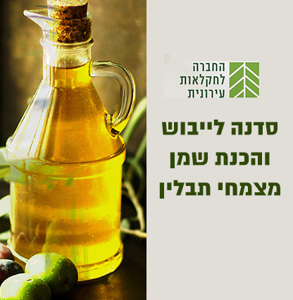 סדנה לייבוש והכנת שמן מצמחי תבלין